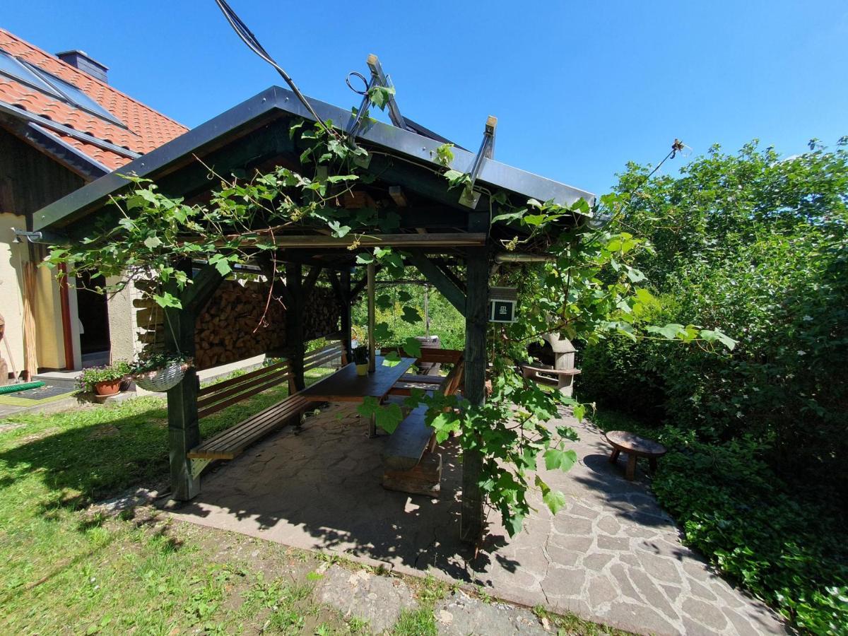 Das Gruene Haus Am Hexenstieg Rubeland Esterno foto