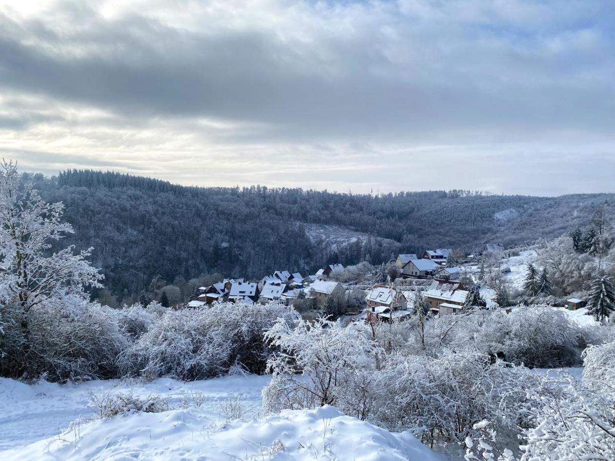 Das Gruene Haus Am Hexenstieg Rubeland Esterno foto