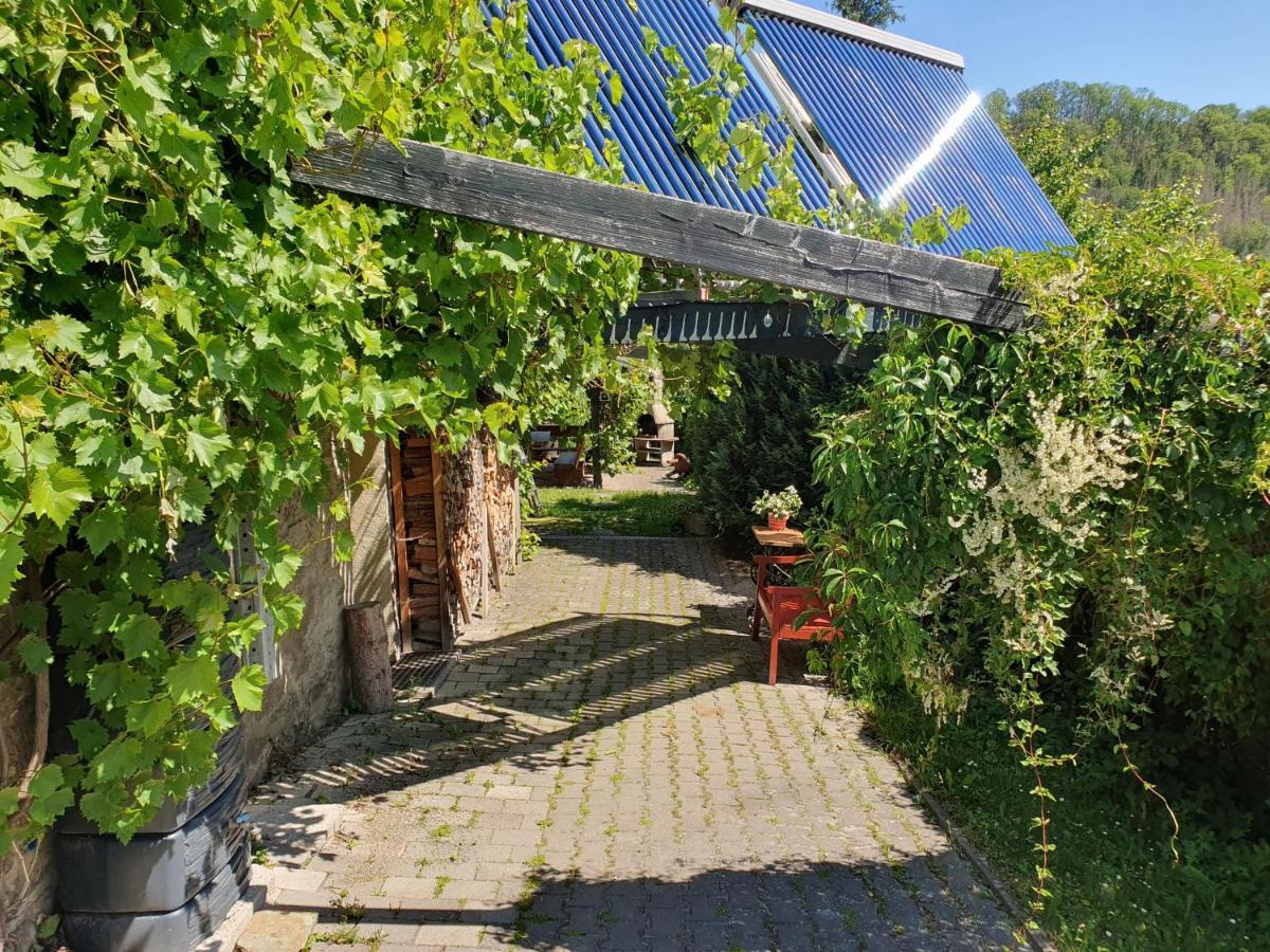 Das Gruene Haus Am Hexenstieg Rubeland Esterno foto