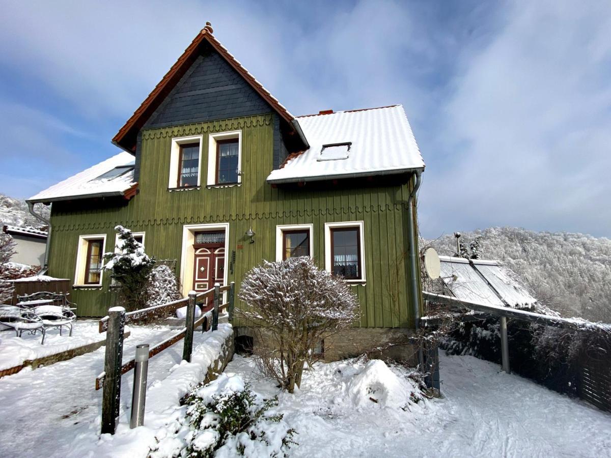 Das Gruene Haus Am Hexenstieg Rubeland Esterno foto