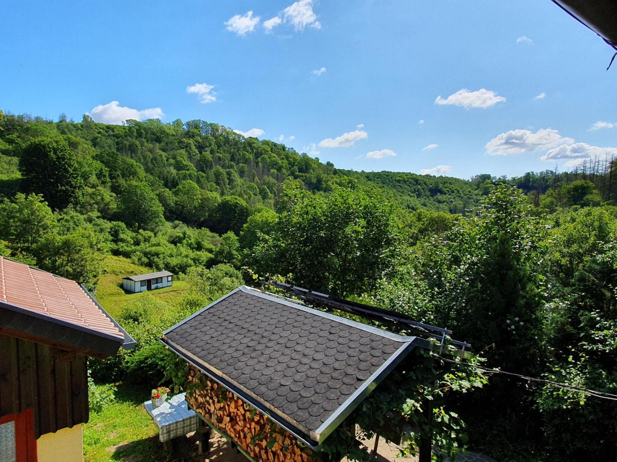 Das Gruene Haus Am Hexenstieg Rubeland Esterno foto